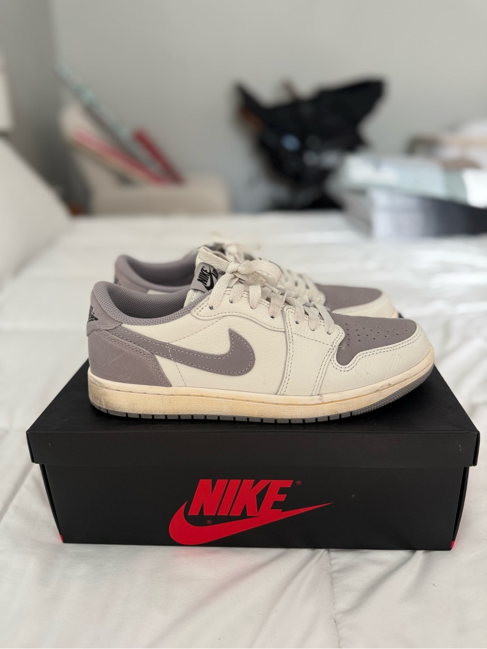 Nike Air Jordan 1 Low in Cream & Light Gray